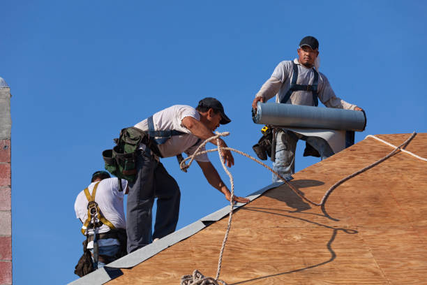 Best Emergency Roof Repair  in Edina, MO