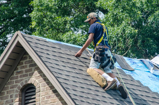 Best Roof Gutter Cleaning  in Edina, MO